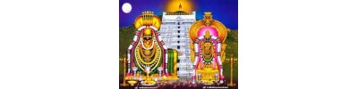 236. திருவண்ணாமலை